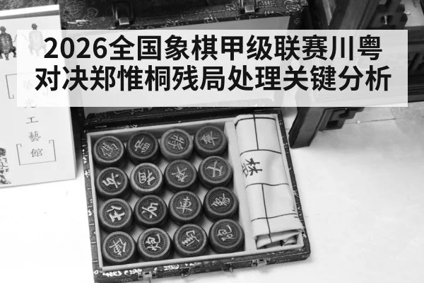 chinese chess pieces